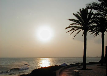 Allarga immagine