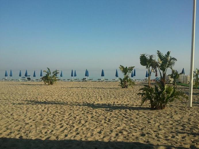 Allarga immagine